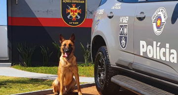 Fugitivo do presídio de Tremembé é capturado pelo BAEP em Botucatu