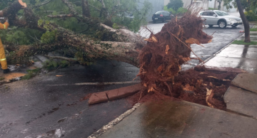 Forte chuva mais uma vez causa estragos em Botucatu