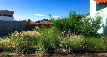 Proprietários de terrenos e imóveis em São Manuel devem realizar limpeza em menos de 30 dias