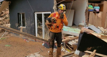 Grupo resgata animais presos em escombros após desastre no litoral paulista