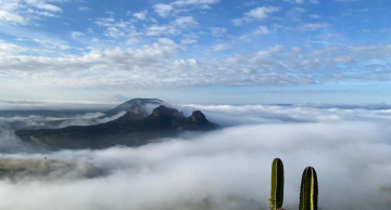Botucatu é objeto de estudo no Museu de Arqueologia e Etnologia da USP