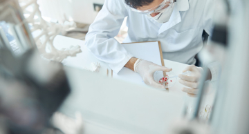 Projeto “Quem quer ser um cientista?” do IBB está concorrendo a financiamento público