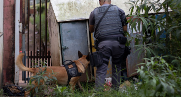 Operação policial prende 15 pessoas em Botucatu por roubos e tráfico