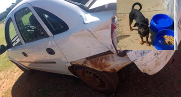 Família procura por cachorro que estava dentro de veículo furtado em Botucatu