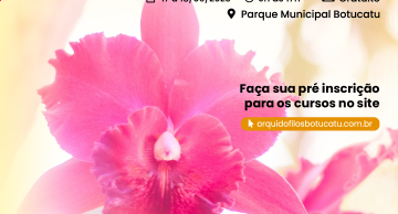 3ª mostra, curso gratuito e venda de orquídeas em Botucatu: evento imperdível para amantes de orquídeas