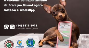 Departamento de Proteção Animal de Botucatu passa a ter atendimento por WhatsApp