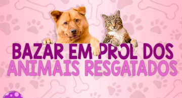 Bazar em Botucatu vai arrecadar fundos para animais resgatados