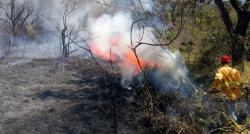 Botucatu registra novos focos de incêndio Botucatu registra novos focos de incêndio