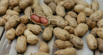 Culturas agrícolas de São Paulo devem aumentar produção na safra 22/23