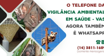 Telefone da Vigilância Ambiental em Saúde de Botucatu agora também é WhatsApp