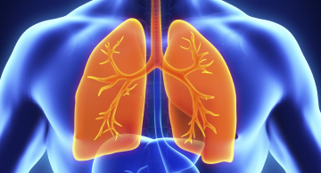 Programa Inspire do HC de Botucatu retoma atividades em 2025 Programa Inspire do HC de Botucatu retoma atividades em 2025