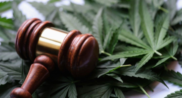 Descriminalizar ou não o porte de drogas para uso pessoal?