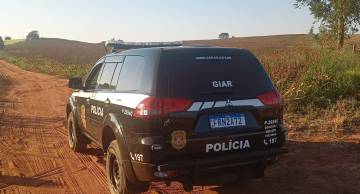 Polícia Civil de Botucatu prende quadrilha especializada em furto de bovinos