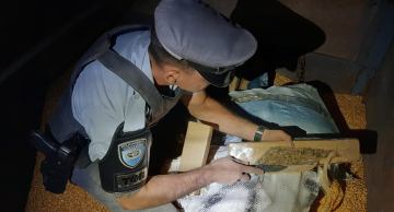 TOR apreende carreta com quase 2,5 toneladas de maconha na Castelo Branco em Pardinho