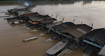 Metodologia desenvolvida na Unesp de Botucatu irá facilitar identificação de mercúrio em animais e pessoas na Amazônia