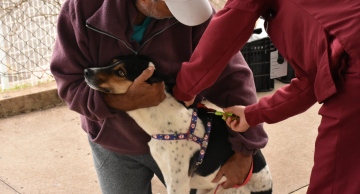 Botucatu terá segunda Ação de Saúde Pública Veterinária