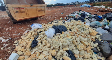 Operação policial interdita fábrica de farinha na área rural de Itatinga