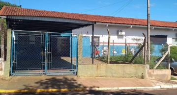 Menino morre após ser picado por escorpião em escola no interior de SP
