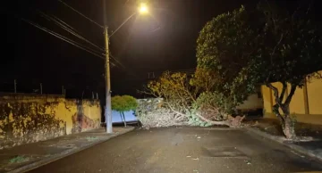 Vendaval destelha casas e derruba árvores em São Manuel