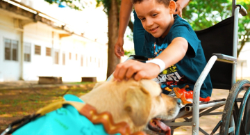 Patas amigas: especialistas do amor atendem pequenos pacientes no HC de Botucatu
