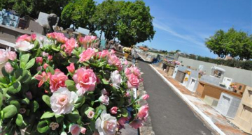 Dia de Finados: cuidados para evitar a proliferação de mosquitos