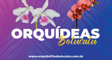 Botucatu recebe a 31ª Exposição Nacional de Orquídeas