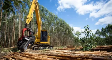 Suzano abre inscrições para curso gratuito de Operador(a) de Máquina Florestal em Itatinga