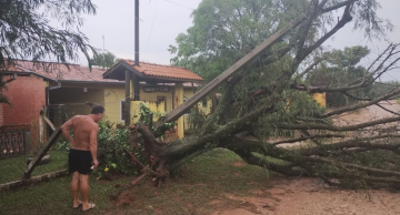 Tempestade derruba árvores e causa estragos entre Rio Bonito e Mina em Botucatu