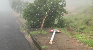 Árvore e poste amanhecem destruídos em rotatória de Botucatu
