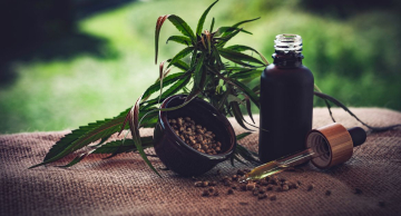 Governo de SP regulamenta lei que permite distribuição de remédios à base de cannabis no SUS