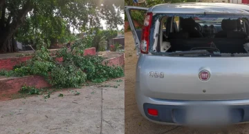 Mulher morre após ser atingida por galho durante ventania na região