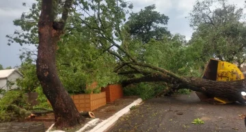 Chuva e rajadas de vento causam estragos em Jaú e Dois Córregos