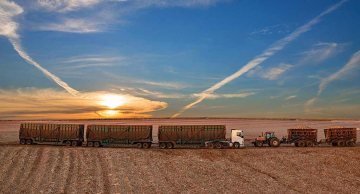 Agro: Usina São Manoel mira no custo para garantir eficiência