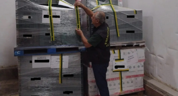 Ministério da Agricultura apreende quase 6 mil litros de azeite por suspeita de fraude no interior de SP