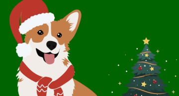 Bazar de Natal em Botucatu vai arrecadar fundos para animais resgatados