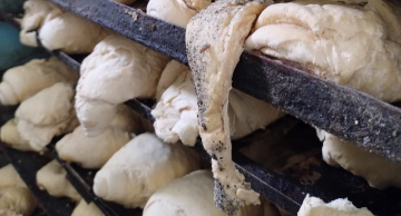 Operação “Pão Nosso II” da Polícia Civil interdita fábrica de pães e farinha na região