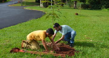 Plantio de árvores celebra os 35 anos da Engenharia Florestal da Unesp em Botucatu