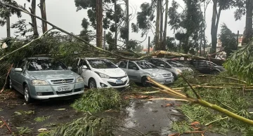 Chuva deixa seis mortos no estado de SP, diz Defesa Civil; queda de árvores sobre carros e muros foram principal causa dos óbitos