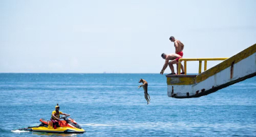 Cachorro caramelo vira ‘guarda-vidas’ e participa de treinamento em praia do litoral de SP