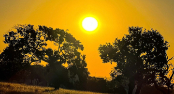 Nova onda de calor pode elevar temperaturas até 40°C em SP