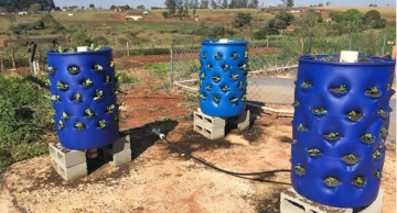 Equipamento para irrigação de hortaliças desenvolvido na FCA da Unesp é patenteado