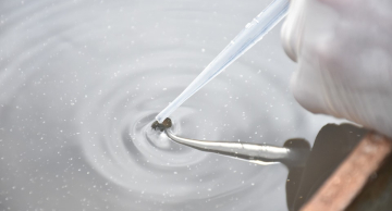 Botucatu segue com mutirões para frear avanço descontrolado da dengue