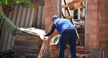 Alarmante: Botucatu fecha janeiro com mais de 700 casos de dengue