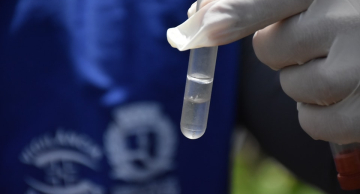 Quem teve dengue uma vez pode contrair novamente? Esclareça suas dúvidas