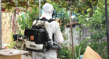 Botucatu passa de 900 casos de dengue em 2024