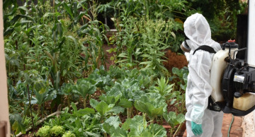 Ações contra o mosquito da dengue são reforçadas em Botucatu