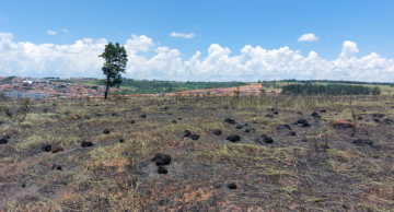 Bombeiros e Defesa Civil voltam em área destruída pelo fogo no bairro Bem-Te-Vi em Botucatu Bombeiros e Defesa Civil voltam em área destruída pelo fogo no bairro Bem-Te-Vi em Botucatu