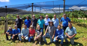 Pesquisas da FCA/Unesp buscam obtenção de duas safras anuais de uva