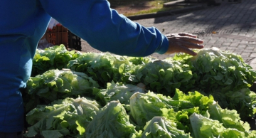 Botucatu tem feiras livres diurnas e noturnas; confira dias e horários