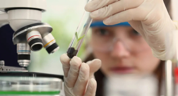 Fapesp e CNPq oferecem bolsas para jovens pesquisadores de SP